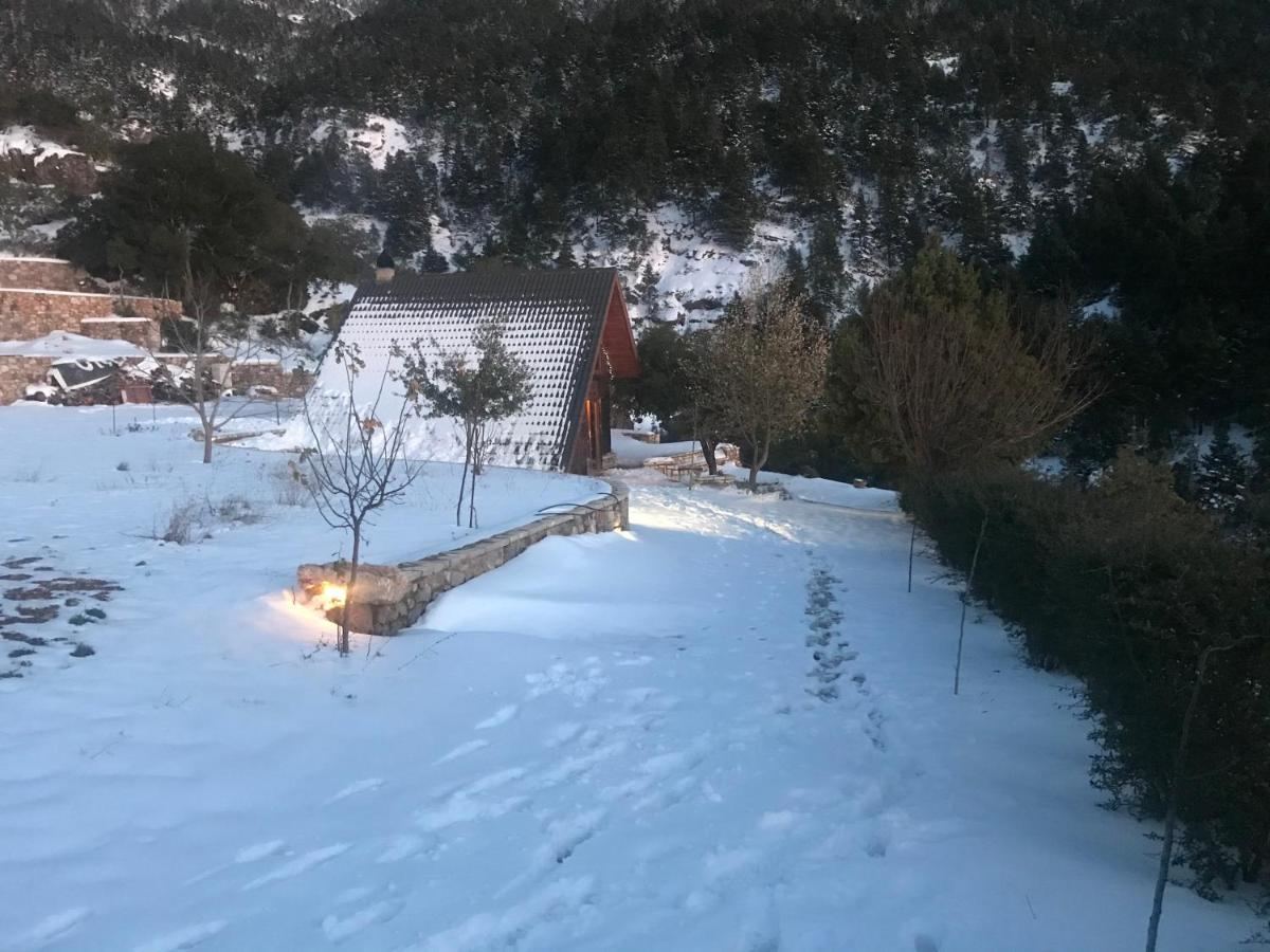 Chalet In The Forest Kalavryta Exterior photo