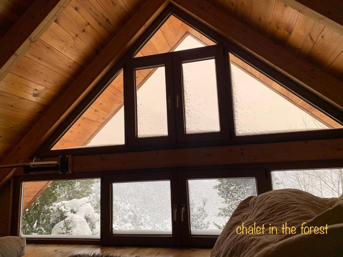 Chalet In The Forest Kalavryta Exterior photo