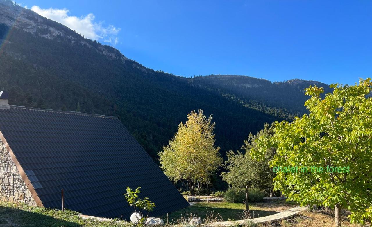 Chalet In The Forest Kalavryta Exterior photo